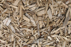 biomass boilers Danby